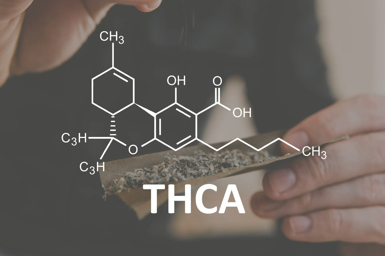 Image of What is THCa?