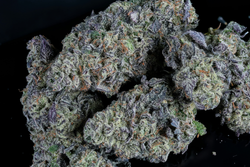 Image of How to Choose the Right Cannabis Flower for Your Lifestyle