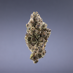 Ignite Cannabis 