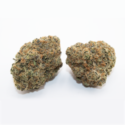 Ignite Cannabis 