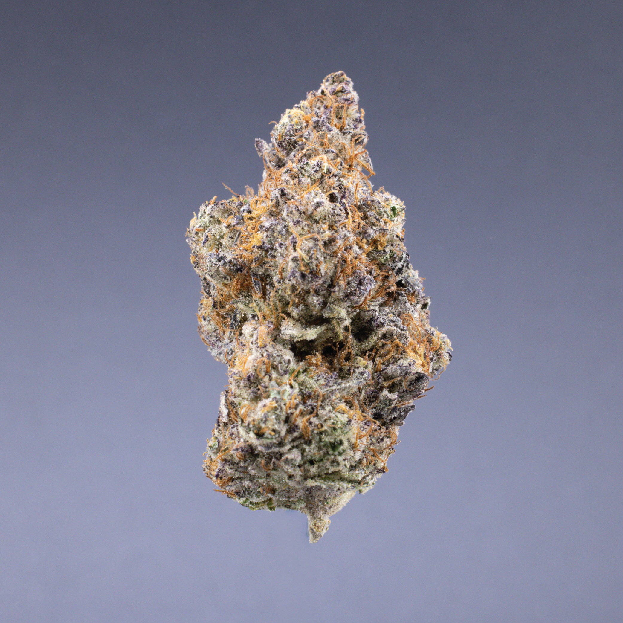 Ignite Cannabis 