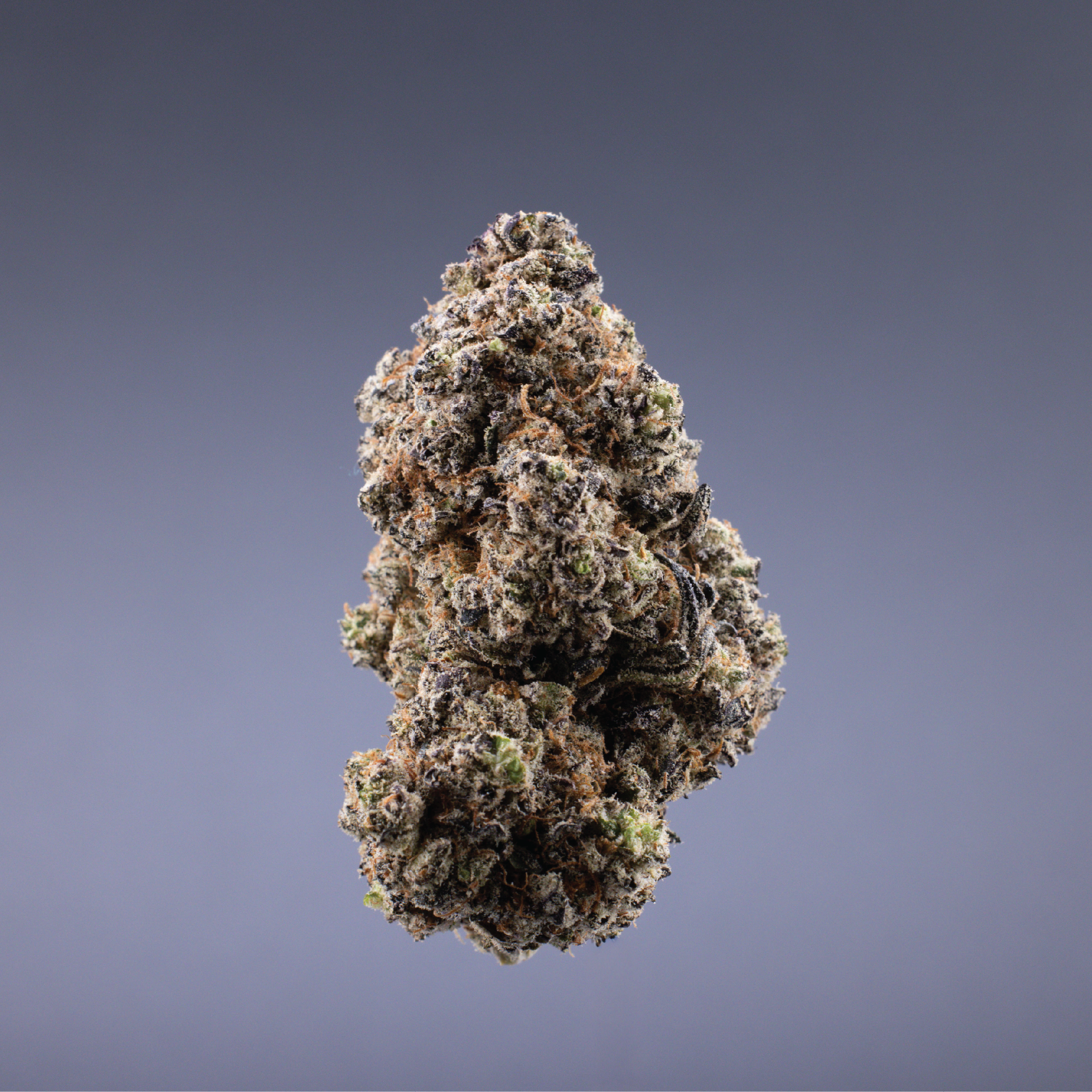 Ignite Cannabis 