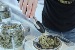 Ignite Cannabis 