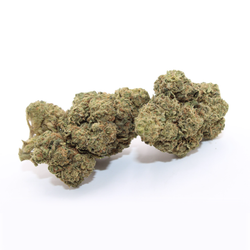 Ignite Cannabis 