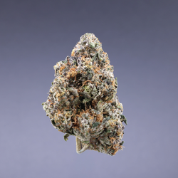 Ignite Cannabis 