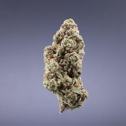 Ignite Cannabis 