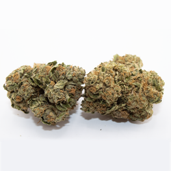 Ignite Cannabis 