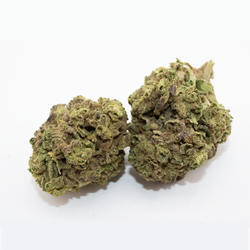 Ignite Cannabis 