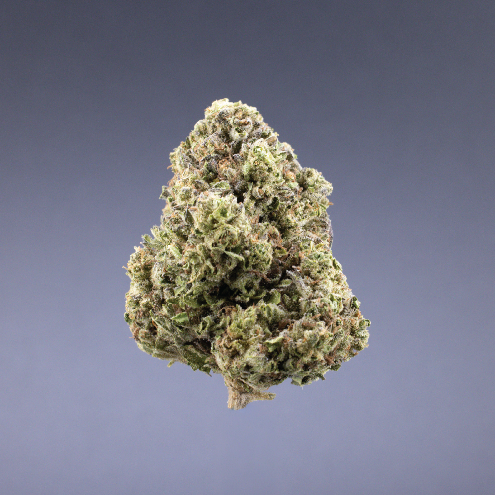 Ignite Cannabis 