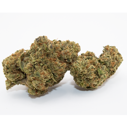 Ignite Cannabis 