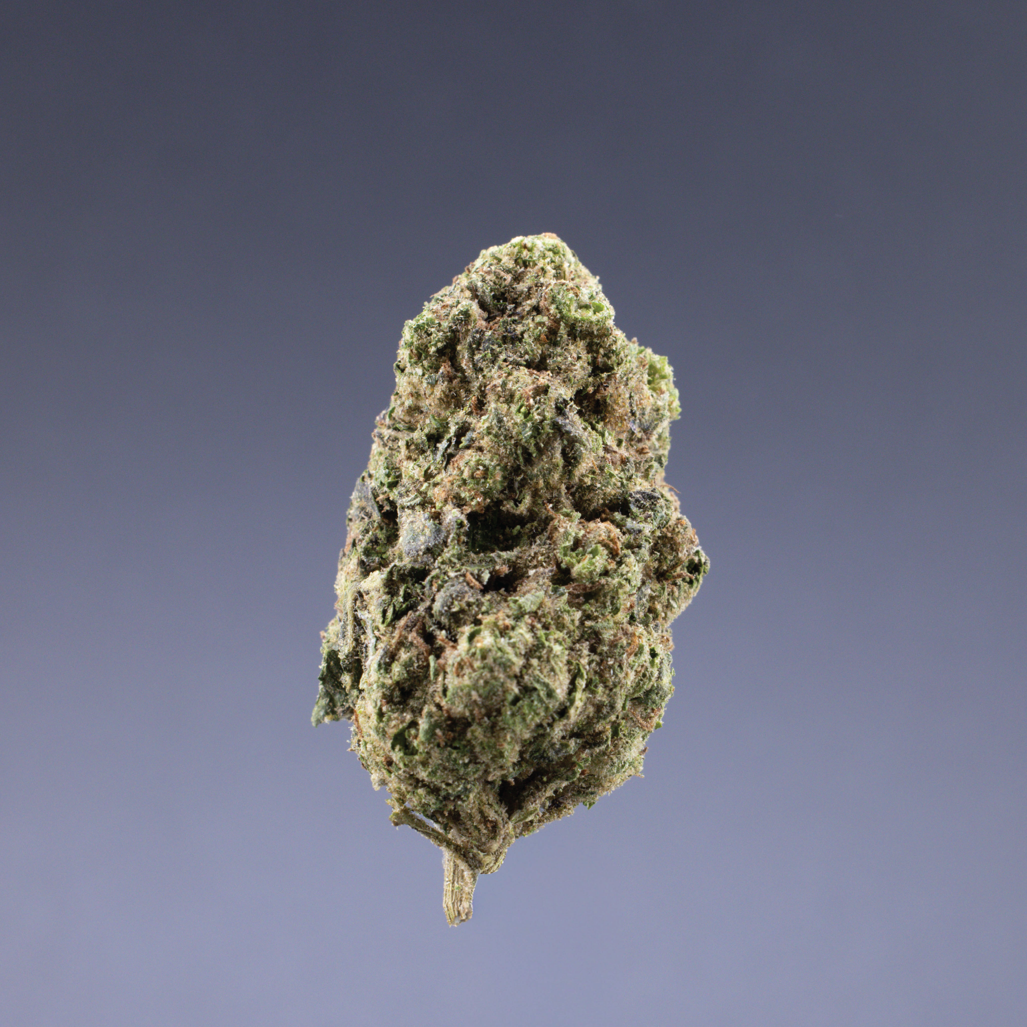 Ignite Cannabis 