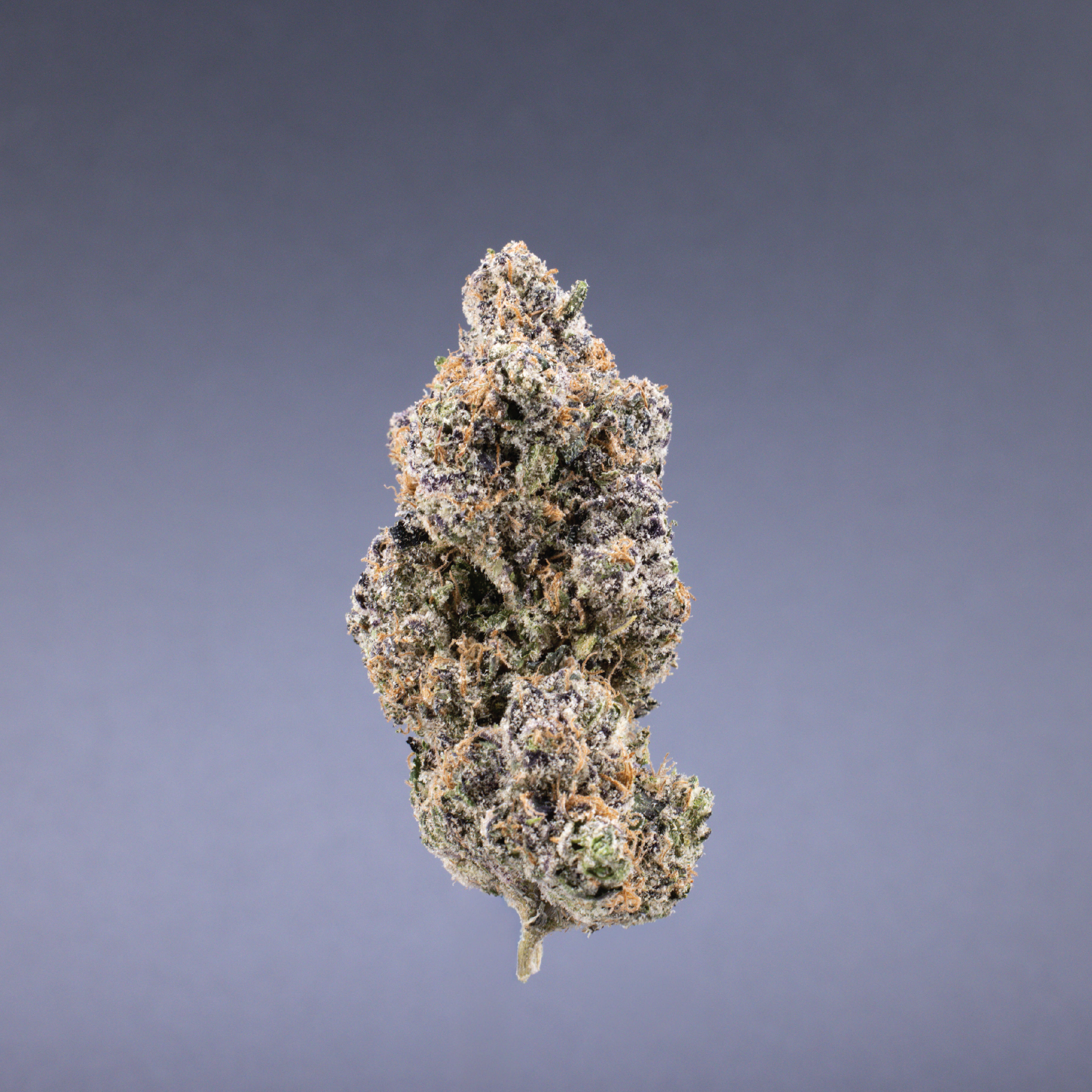 Ignite Cannabis 