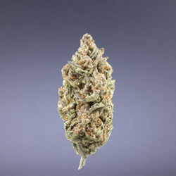 Ignite Cannabis 