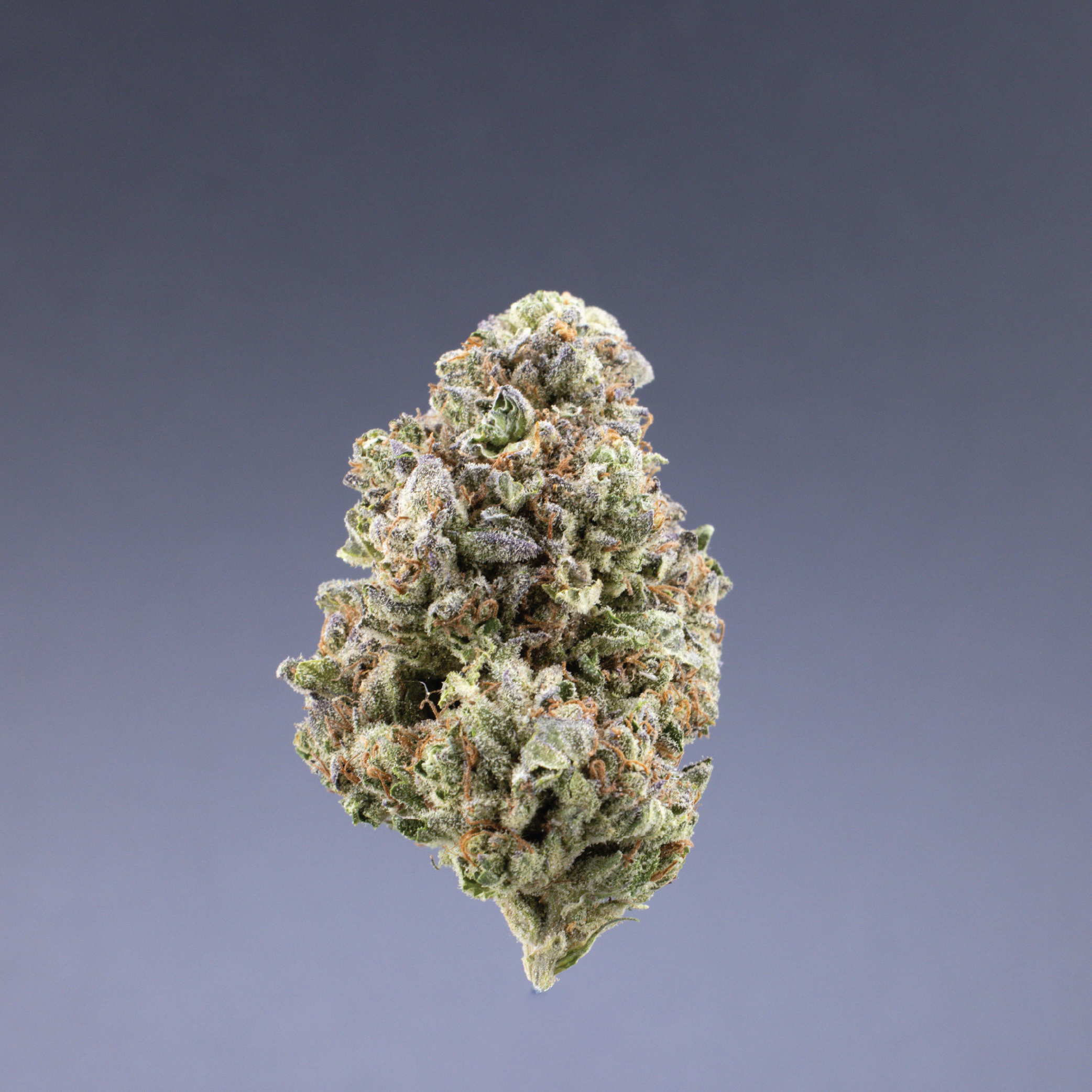 Ignite Cannabis 
