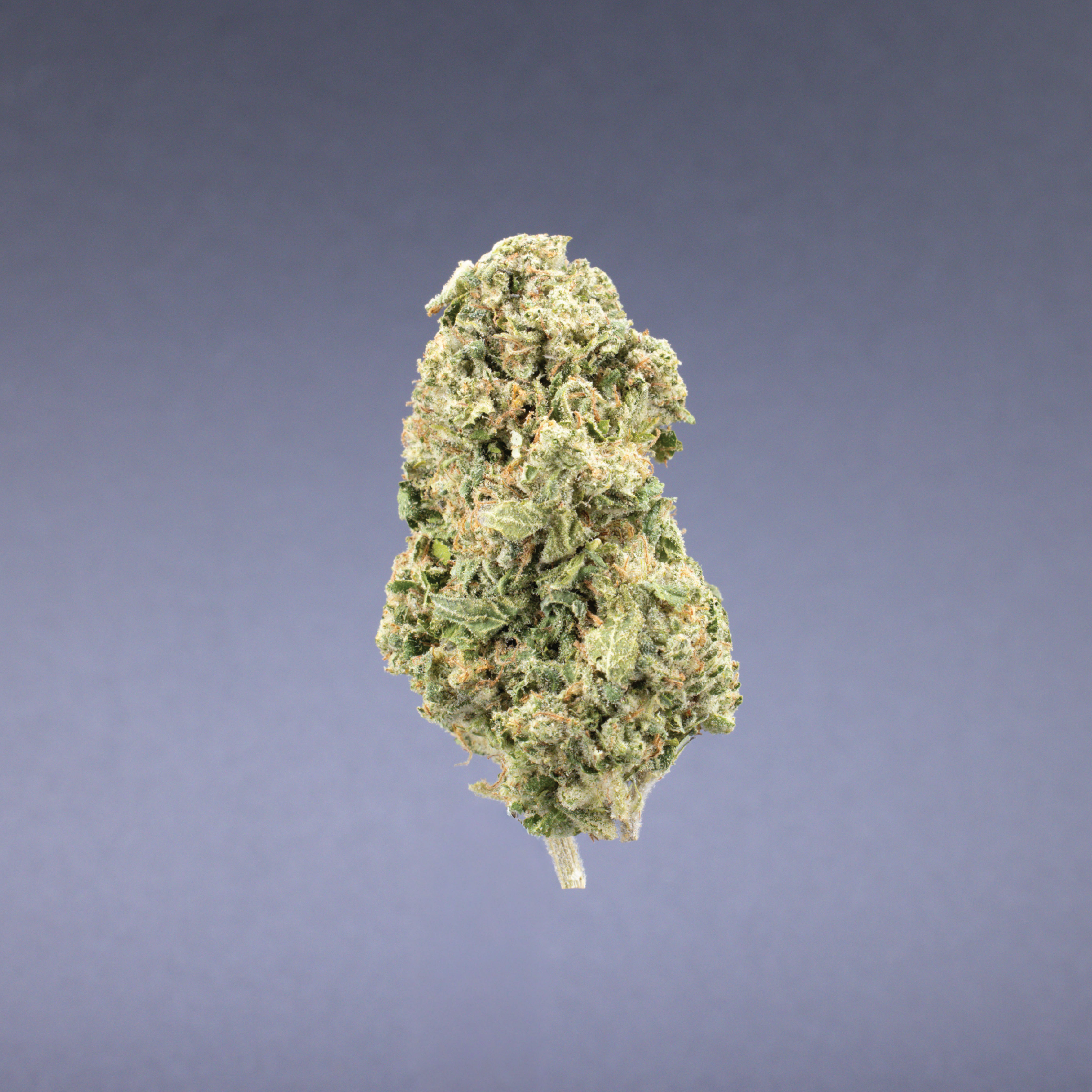 Ignite Cannabis 