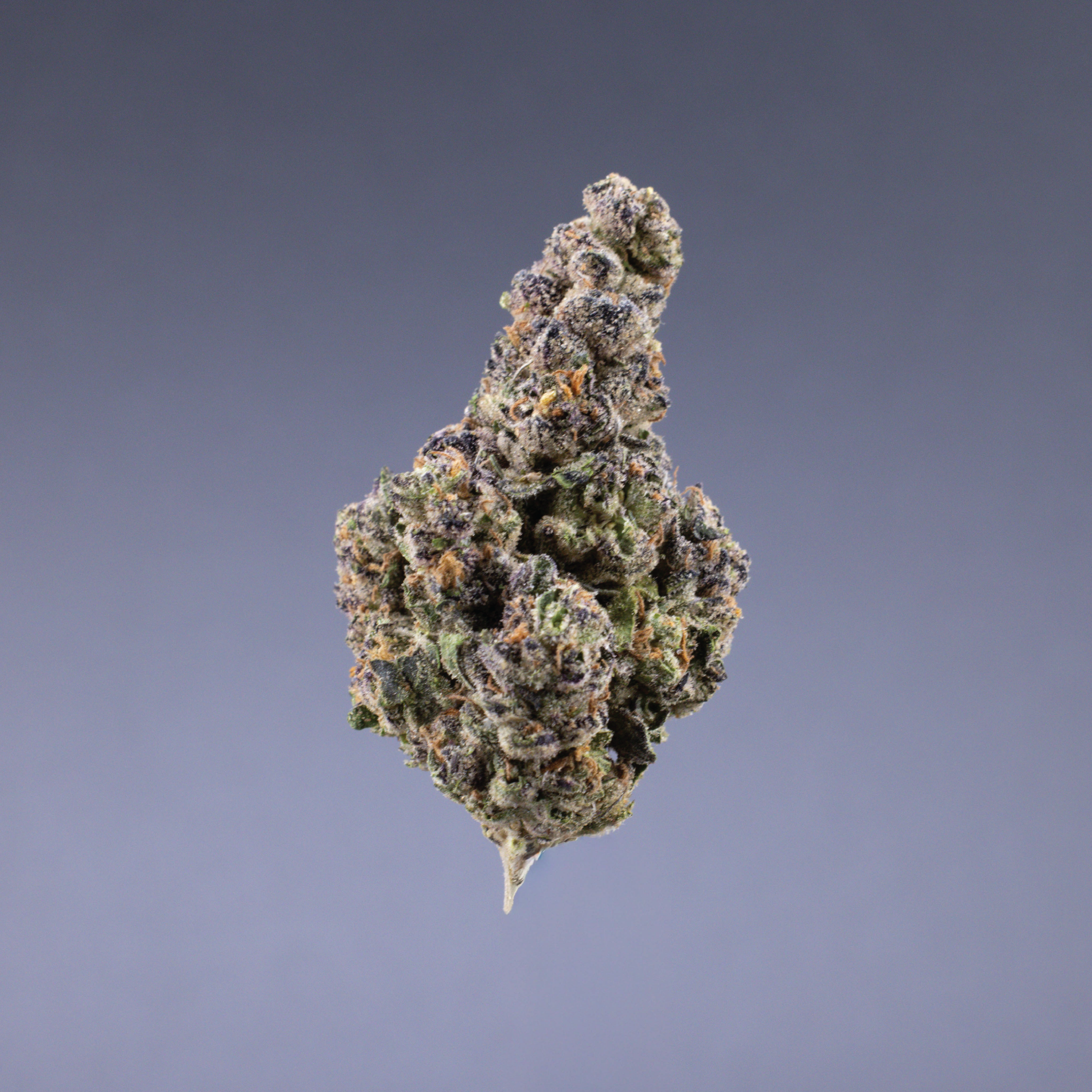 Ignite Cannabis 