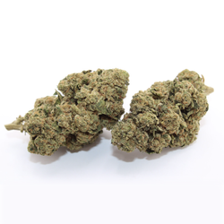 Ignite Cannabis 