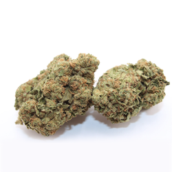 Ignite Cannabis 