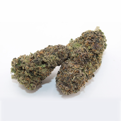 Ignite Cannabis 